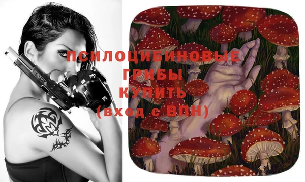 прущая мука Дмитровск