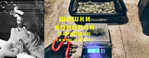 спайс Арсеньев