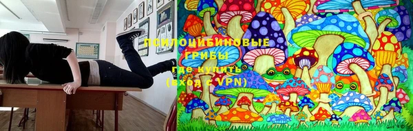 не бодяженный Армянск